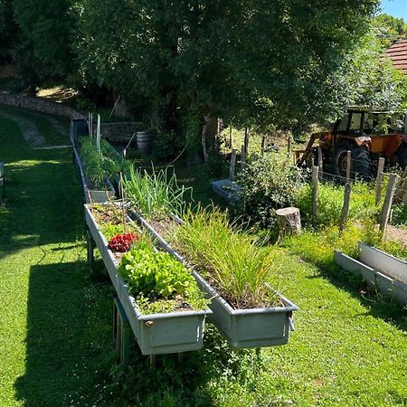 Casa Rural Roncesvalles Espinal-Auzperri ภายนอก รูปภาพ