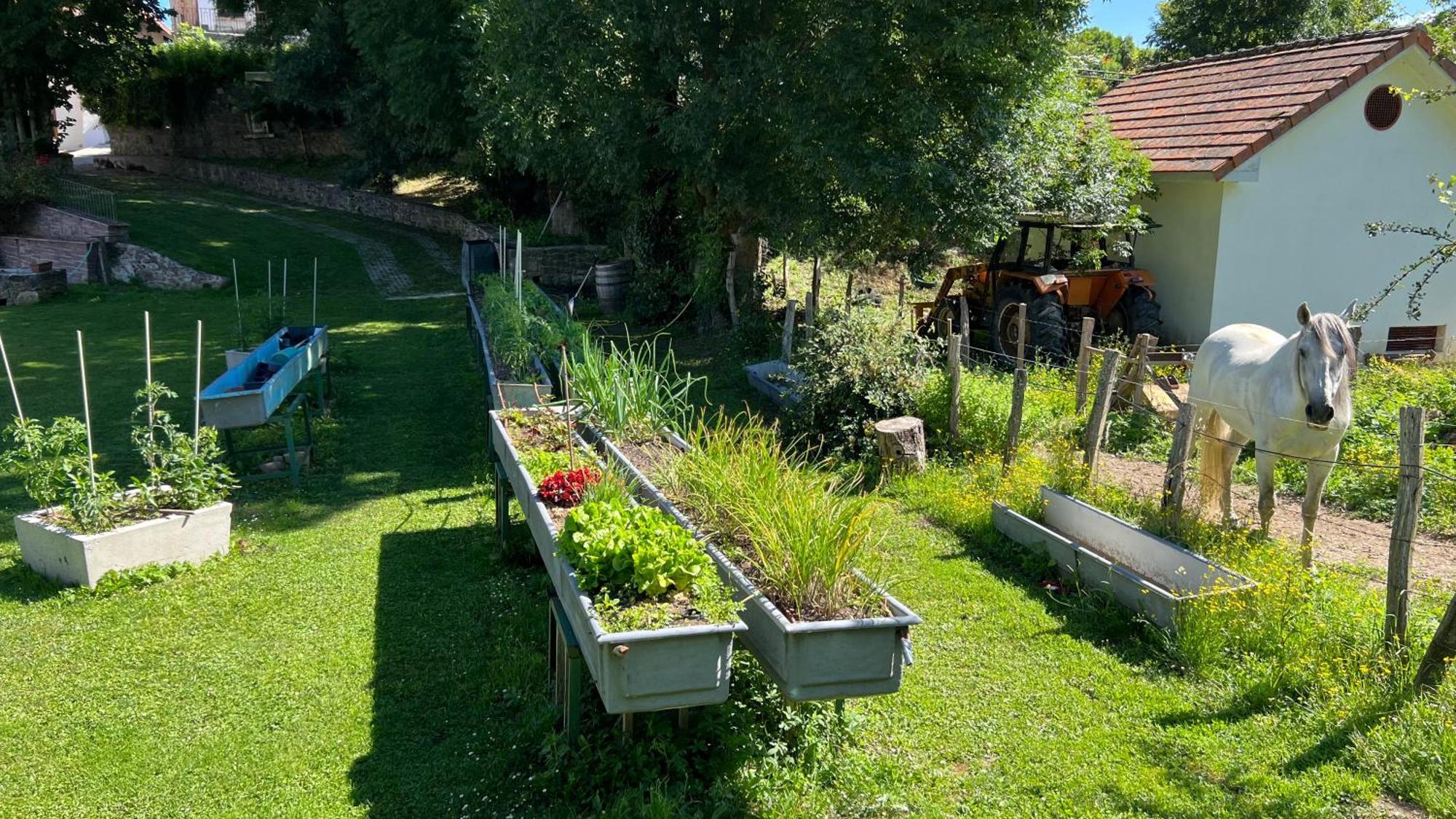 Casa Rural Roncesvalles Espinal-Auzperri ภายนอก รูปภาพ